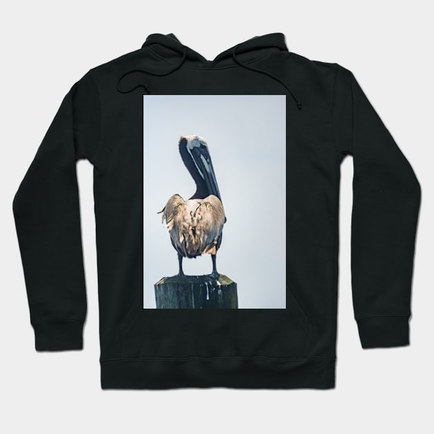 Pelican of Calabash Hoodie by KensLensDesigns